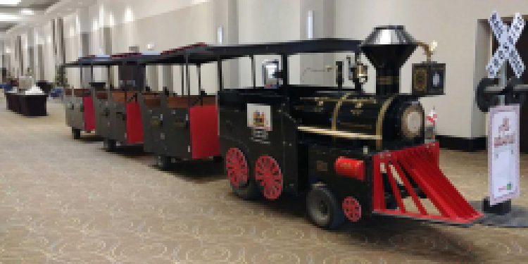 Trackless Trains